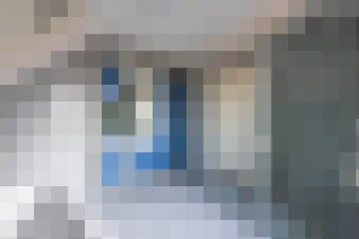 Singelweg 30 Aalten thumbnail 12