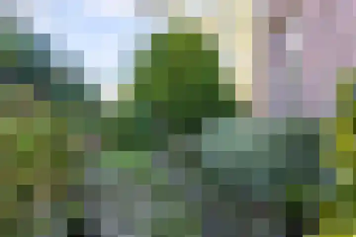 Singelweg 30 Aalten thumbnail 19