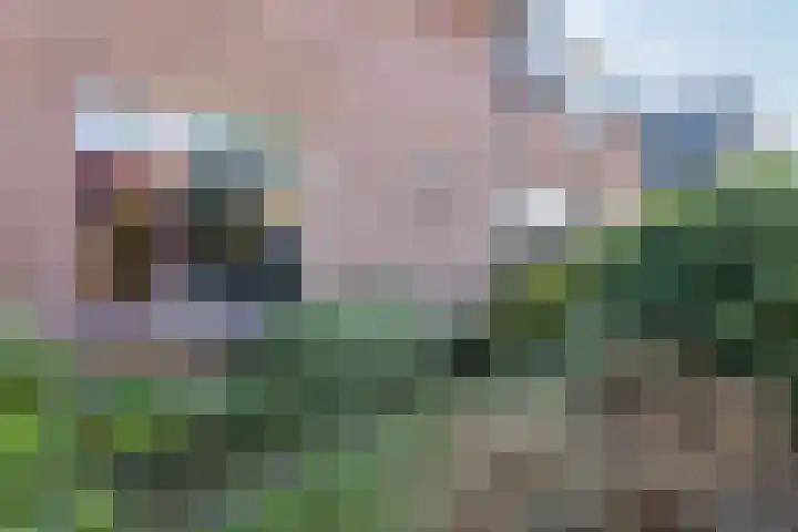 Singelweg 30 Aalten thumbnail 20