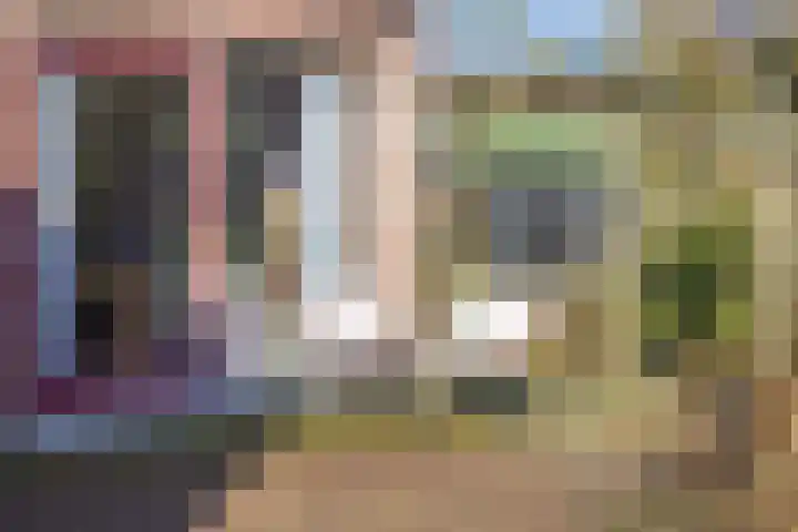 Singelweg 30 Aalten thumbnail 4