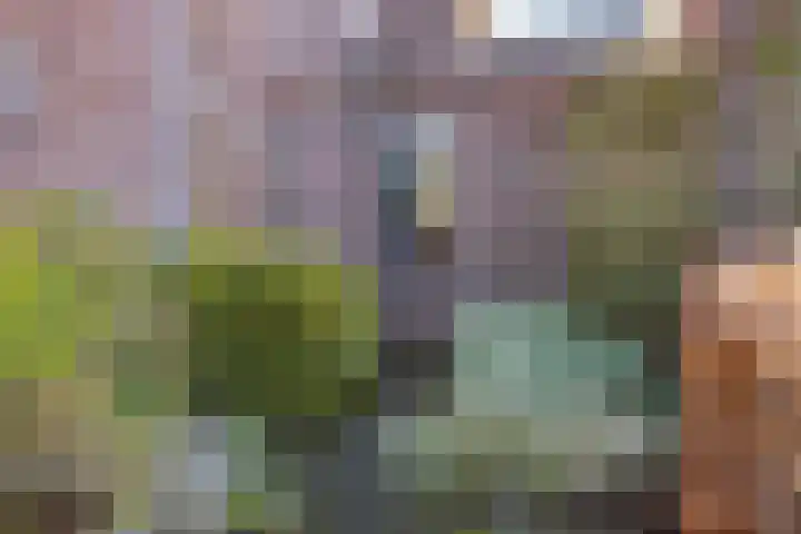 Singelweg 30 Aalten thumbnail 8