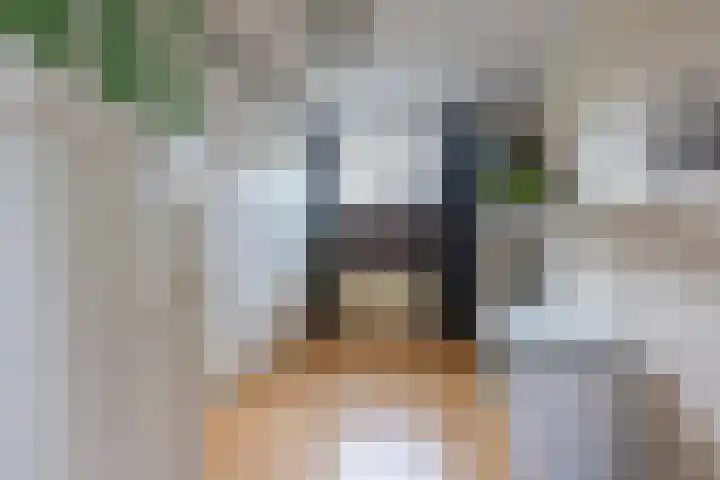 Singelweg 4 Kerkrade thumbnail 17