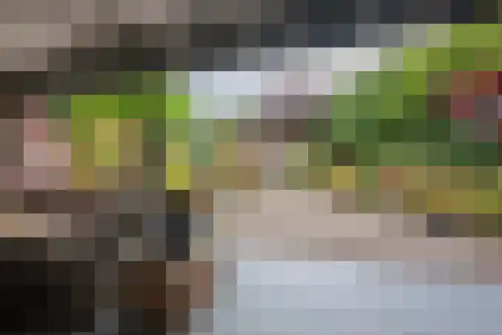 Singelweg 4 Kerkrade thumbnail 27