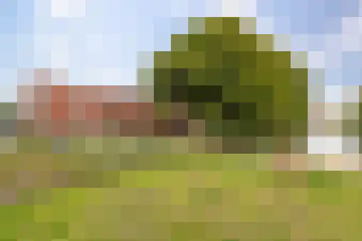 Singelweg 76 a Groningen thumbnail 40