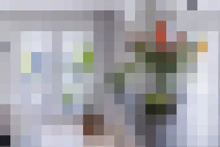 Singelweide 126 Heemskerk thumbnail 12