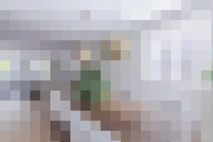 Singelweide 126 Heemskerk thumbnail 18