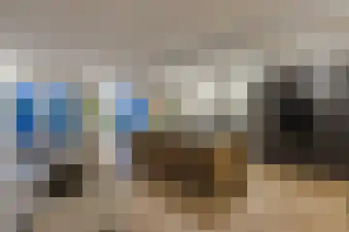 Singelweide 126 Heemskerk thumbnail 20