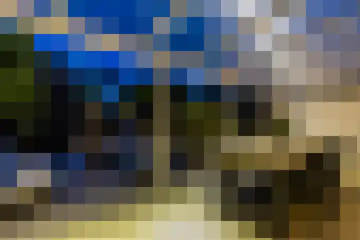 Singelweide 126 Heemskerk thumbnail 4