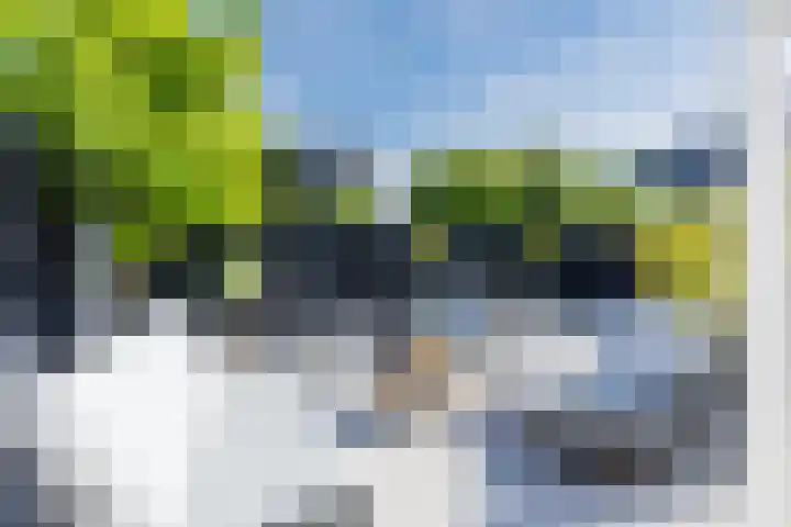 Singelweide 126 Heemskerk thumbnail 42