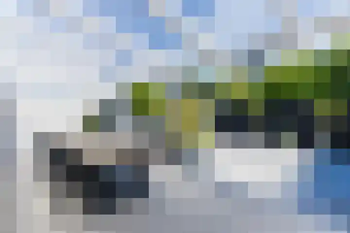 Singelweide 126 Heemskerk thumbnail 43