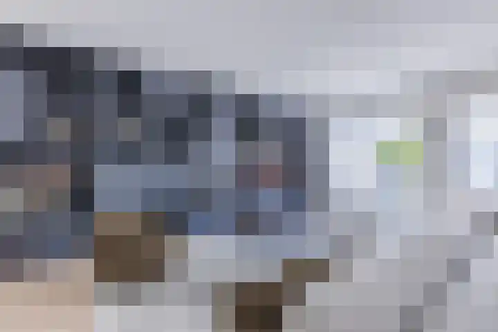 Singelweide 126 Heemskerk thumbnail 8