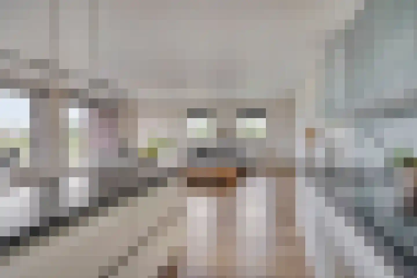 Singelweide 133 Heemskerk thumbnail 13