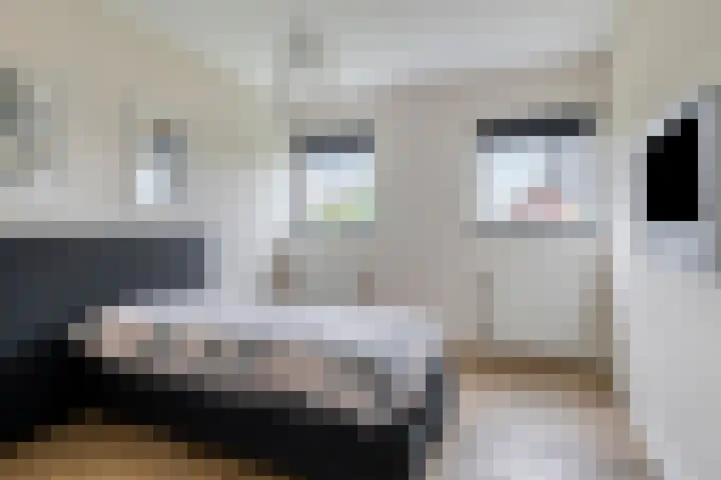 Singelweide 133 Heemskerk thumbnail 20