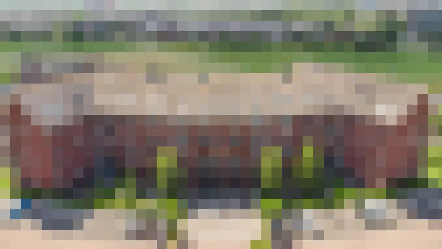 Singelweide 133 Heemskerk thumbnail 28