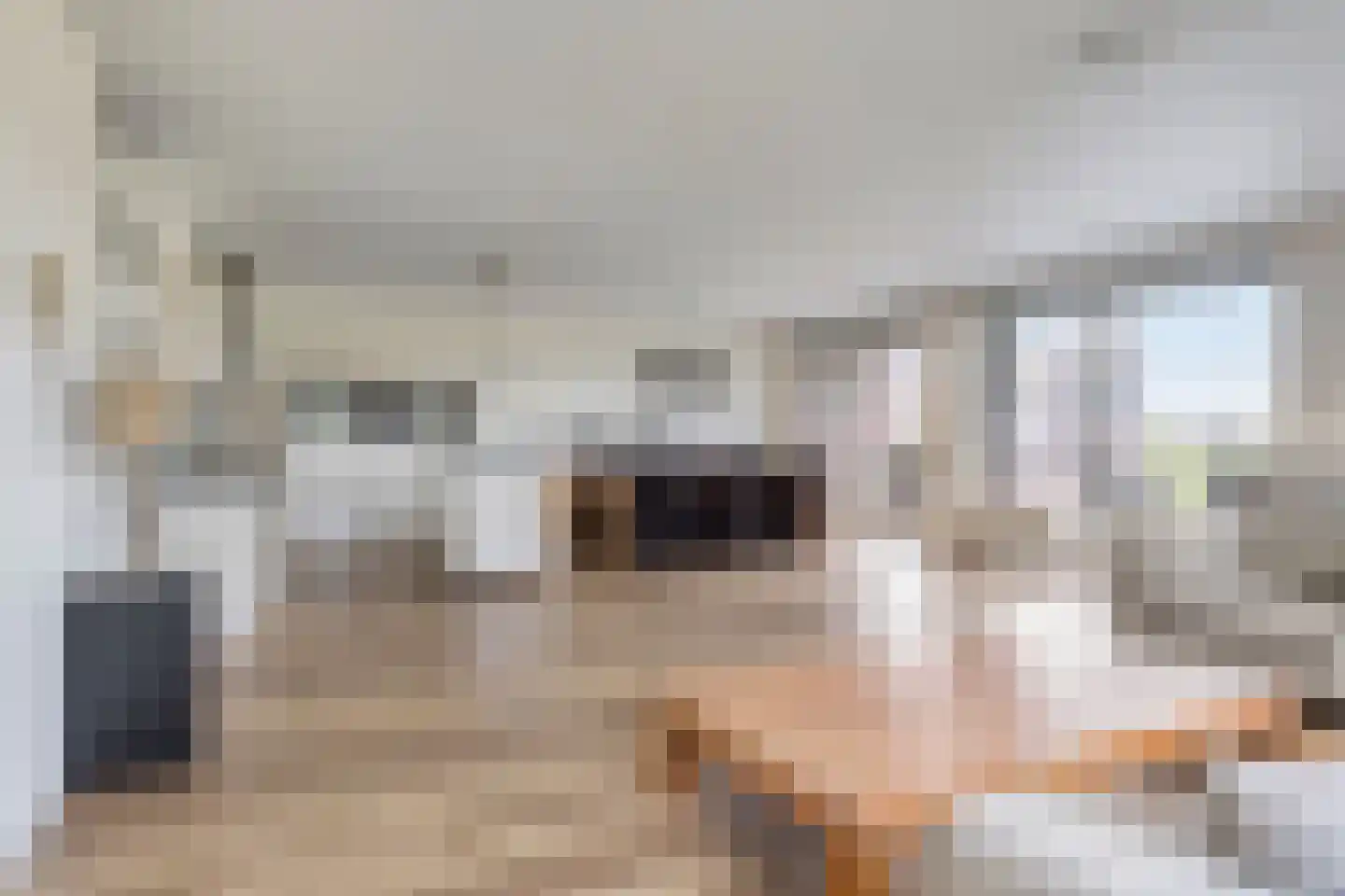 Singelweide 133 Heemskerk thumbnail 4