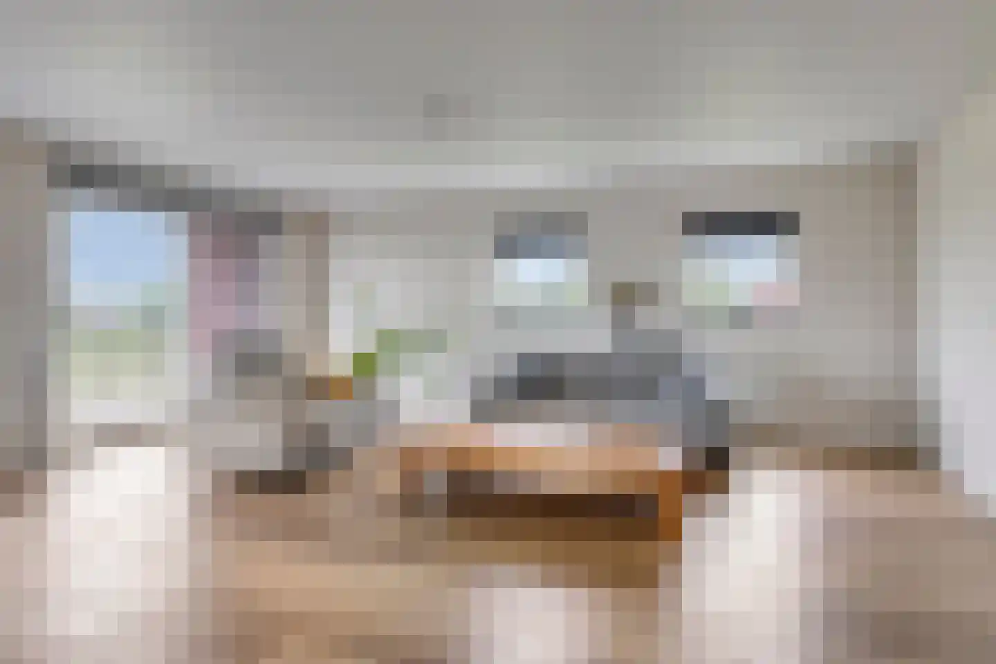 Singelweide 133 Heemskerk thumbnail 5