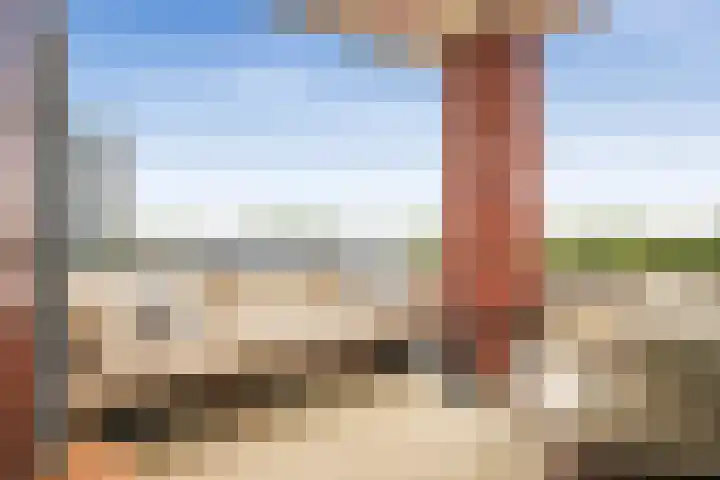 Singelweide 147 Heemskerk thumbnail 20