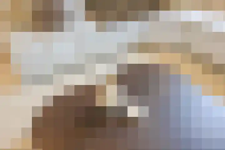 Singelweide 147 Heemskerk thumbnail 22