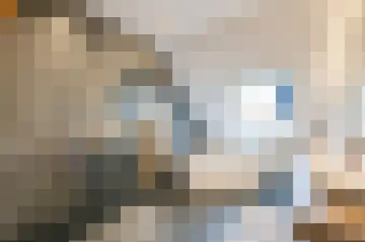 Singelweide 147 Heemskerk thumbnail 30