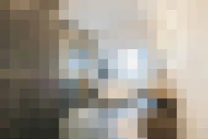 Singelweide 147 Heemskerk thumbnail 31