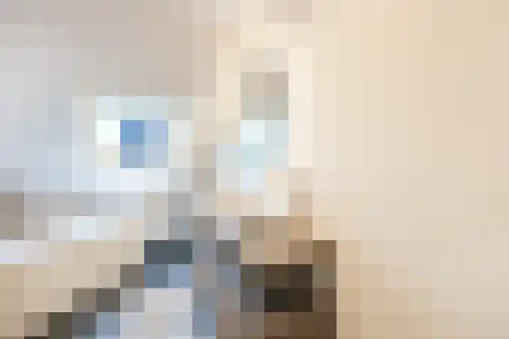 Singelweide 147 Heemskerk thumbnail 32