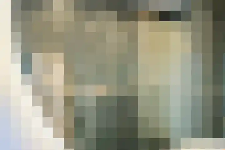 Singelweide 147 Heemskerk thumbnail 38