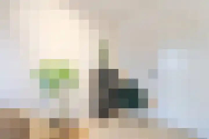 Singelweide 147 Heemskerk thumbnail 47