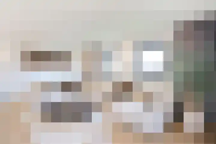 Singelweide 147 Heemskerk thumbnail 5