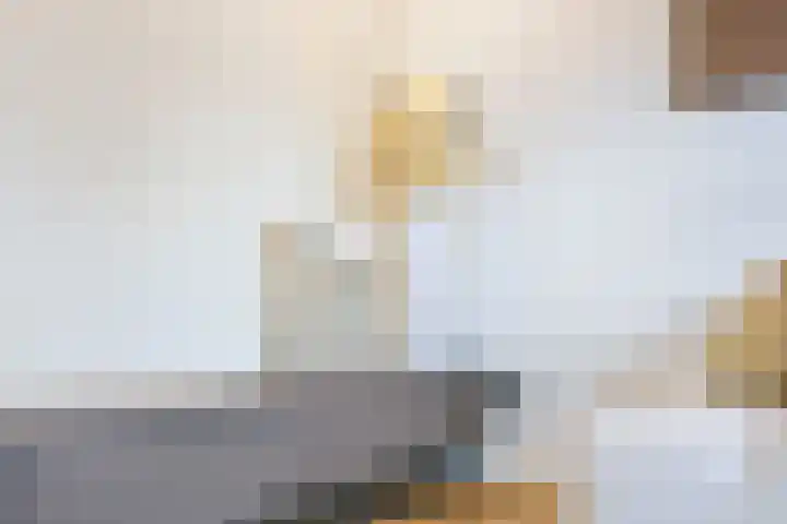 Singelweide 147 Heemskerk thumbnail 7