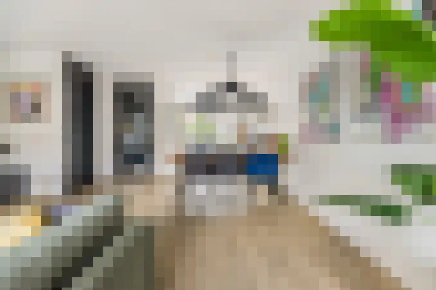 Singelweide 84 Heemskerk thumbnail 6
