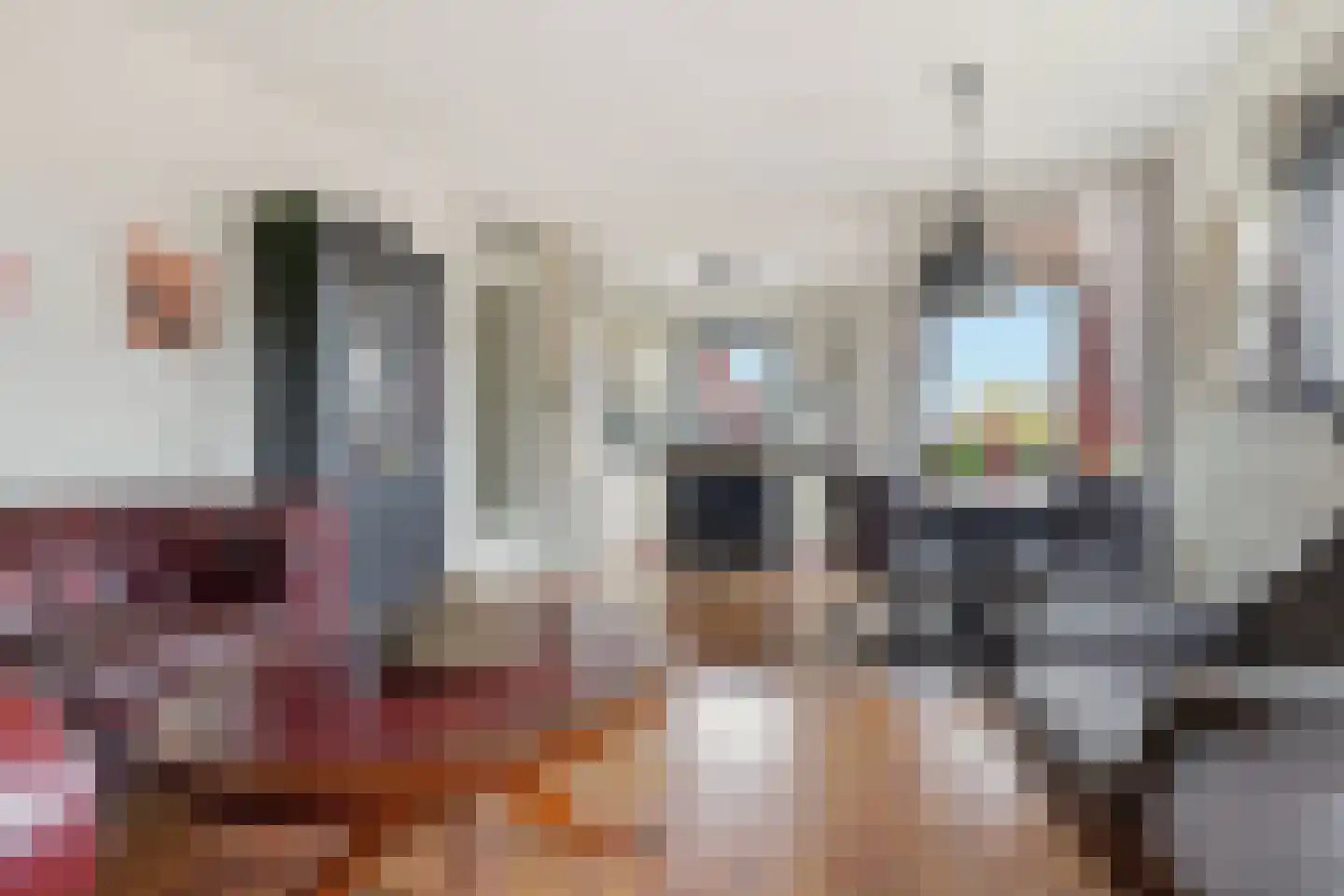 Singelweide 91 Heemskerk thumbnail 7
