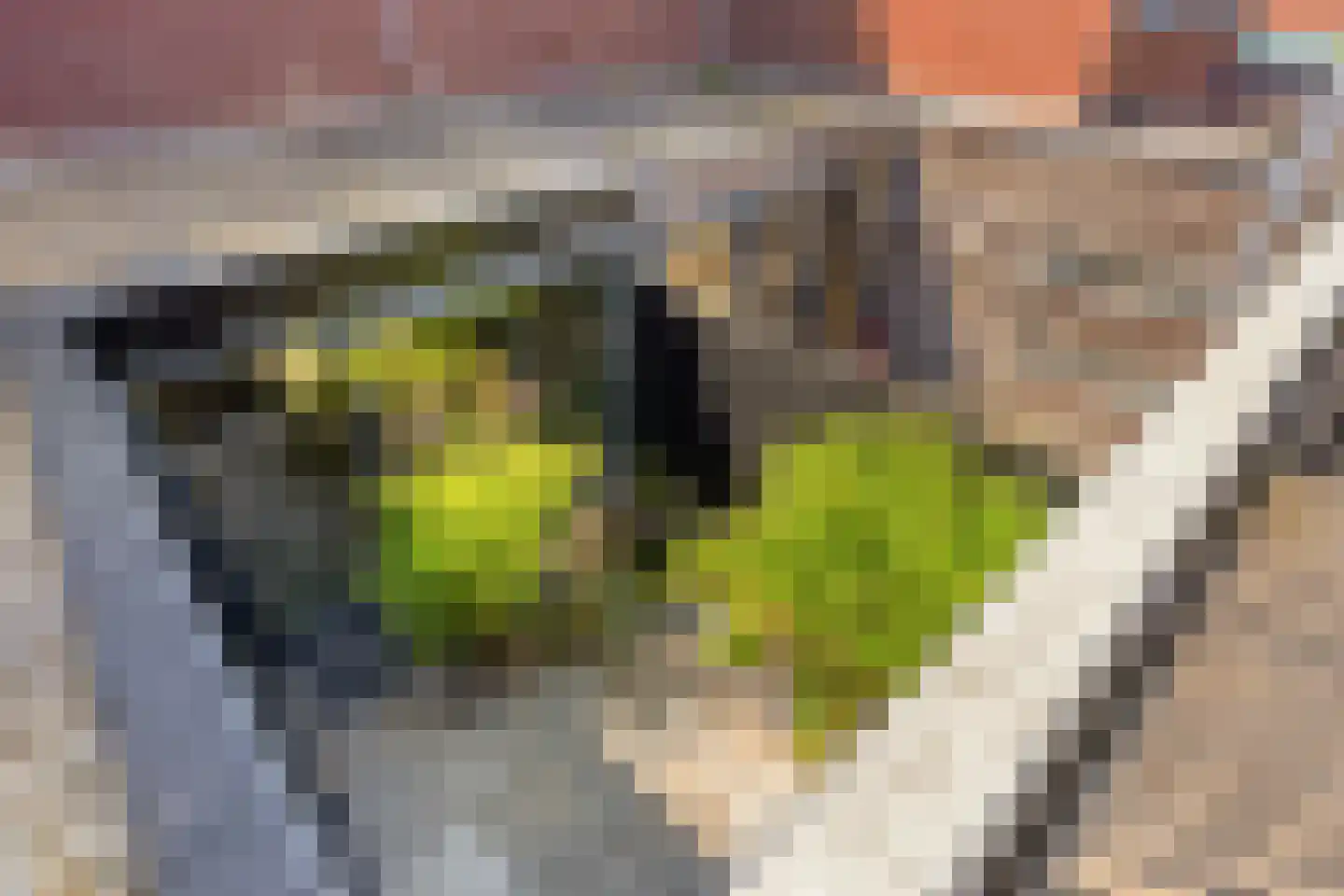 Singerstraat 23 Amsterdam thumbnail 39