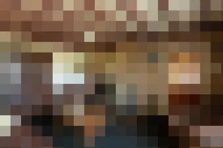 Singlerpad 1 A Lunteren thumbnail 12