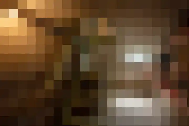 Singlerpad 1 A Lunteren thumbnail 18