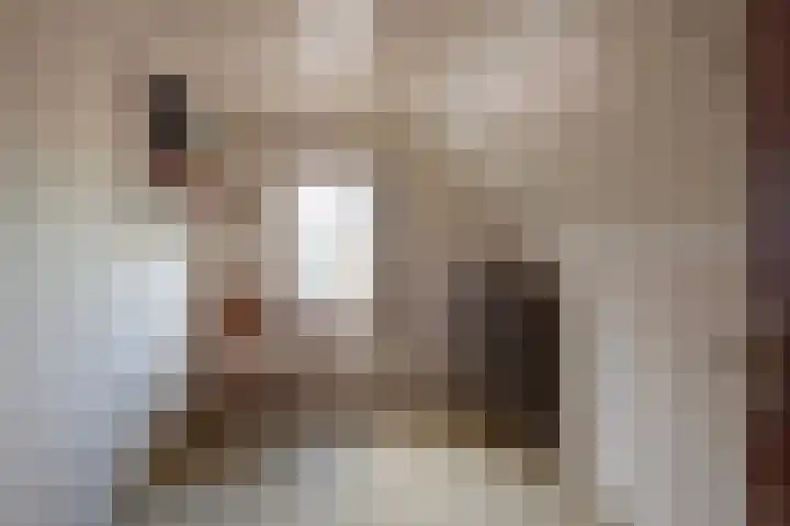Singlerpad 1 A Lunteren thumbnail 23