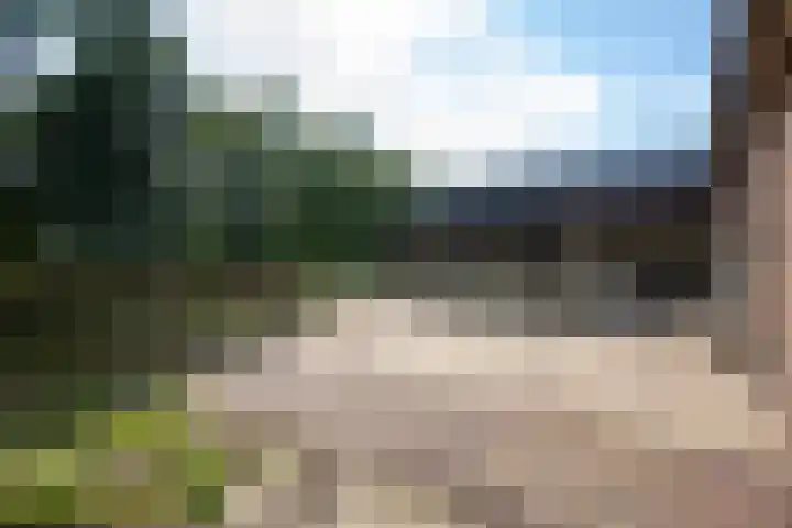 Singlerpad 1 A Lunteren thumbnail 26