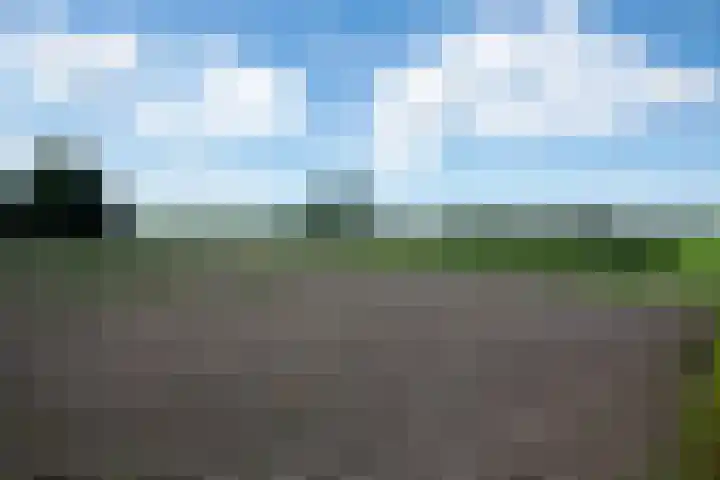 Singlerpad 1 A Lunteren thumbnail 31