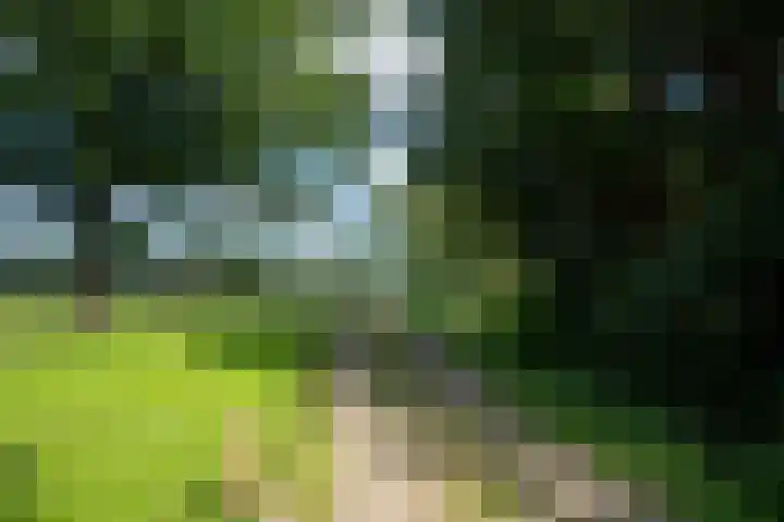 Singlerpad 1 A Lunteren thumbnail 35