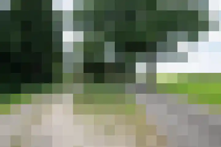 Singlerpad 1 A Lunteren thumbnail 36