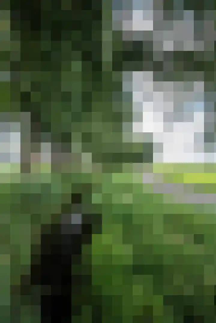 Singlerpad 1 A Lunteren thumbnail 37