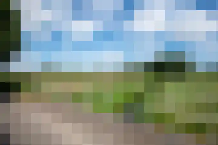 Singlerpad 1 A Lunteren thumbnail 38