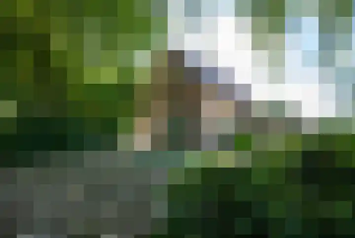 Singlerpad 1 A Lunteren thumbnail 5