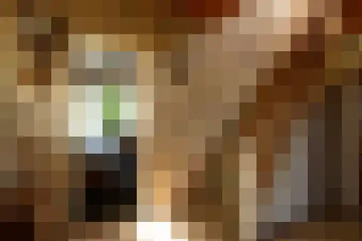 Singlerpad 1 A Lunteren thumbnail 7