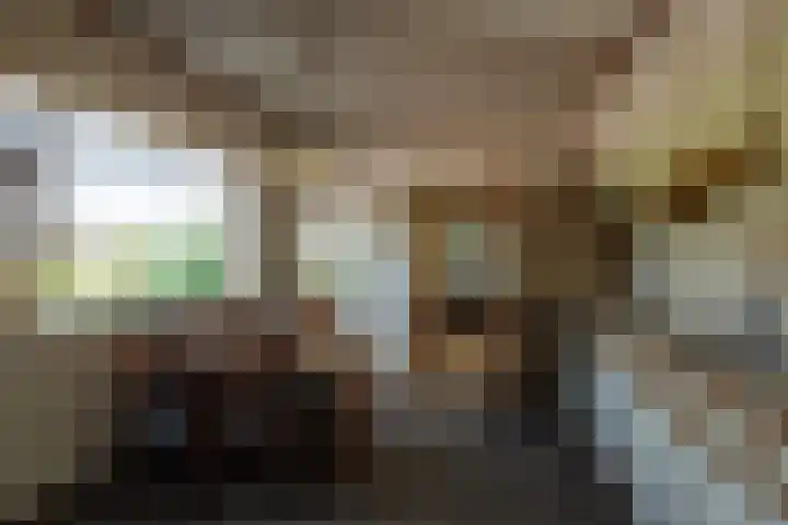 Singlerpad 1 A Lunteren thumbnail 9