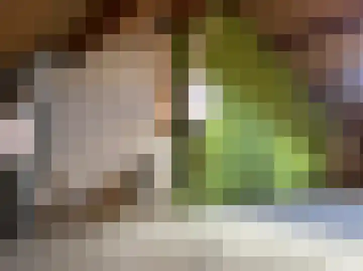 Singraven 14 Almelo thumbnail 19