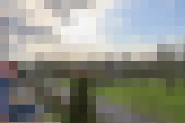 Singraven 15 Lelystad thumbnail 37