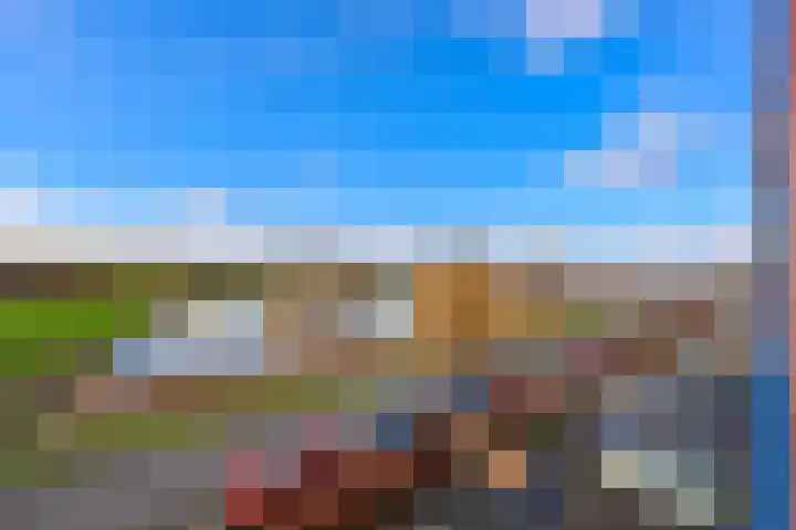 Singraven 15 Lelystad thumbnail 39