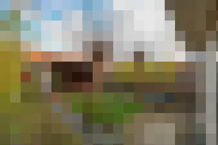 Singraven 15 Lelystad thumbnail 40