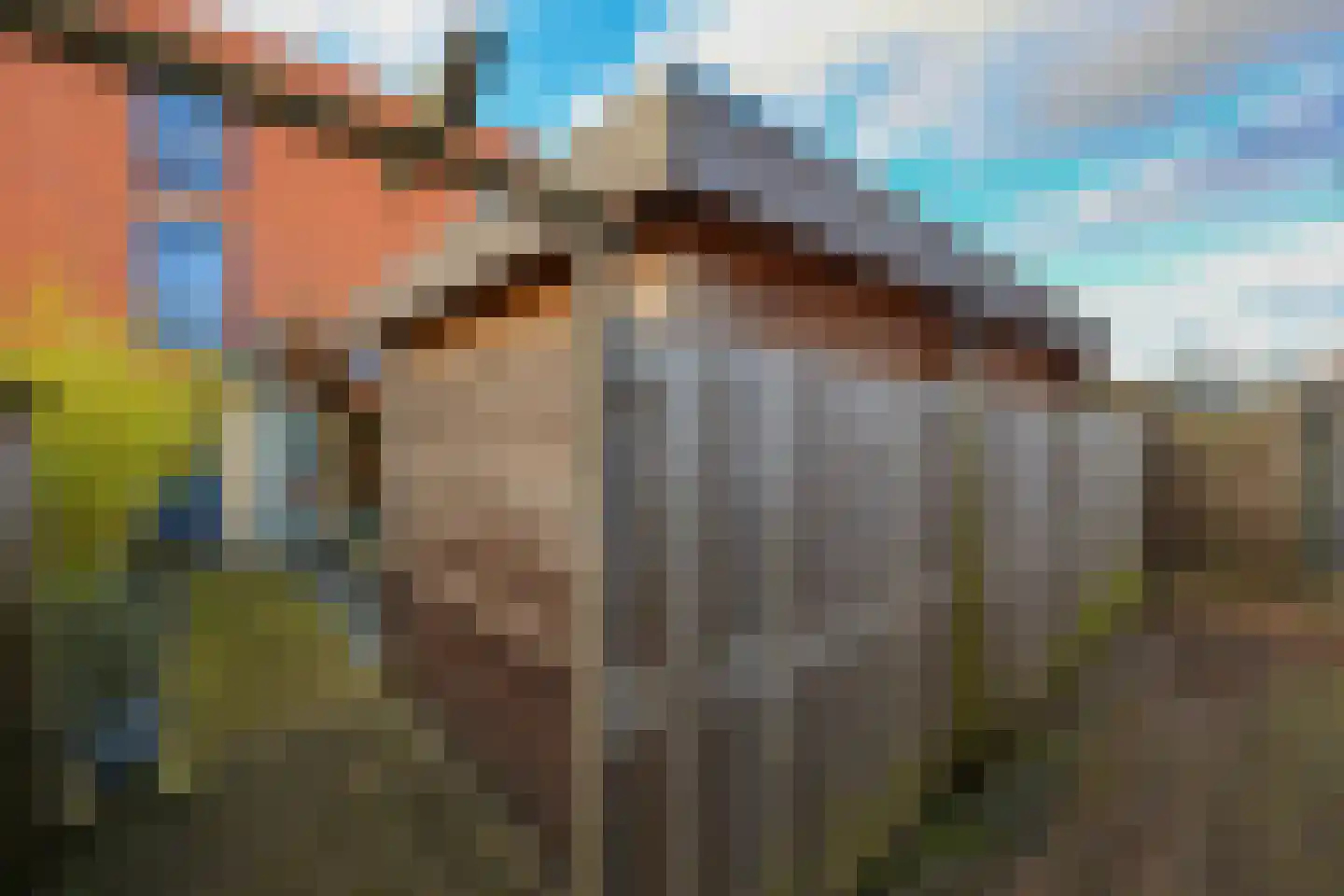 Singraven 15 Lelystad thumbnail 45