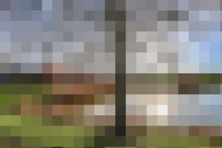 Singraven 15 Lelystad thumbnail 56